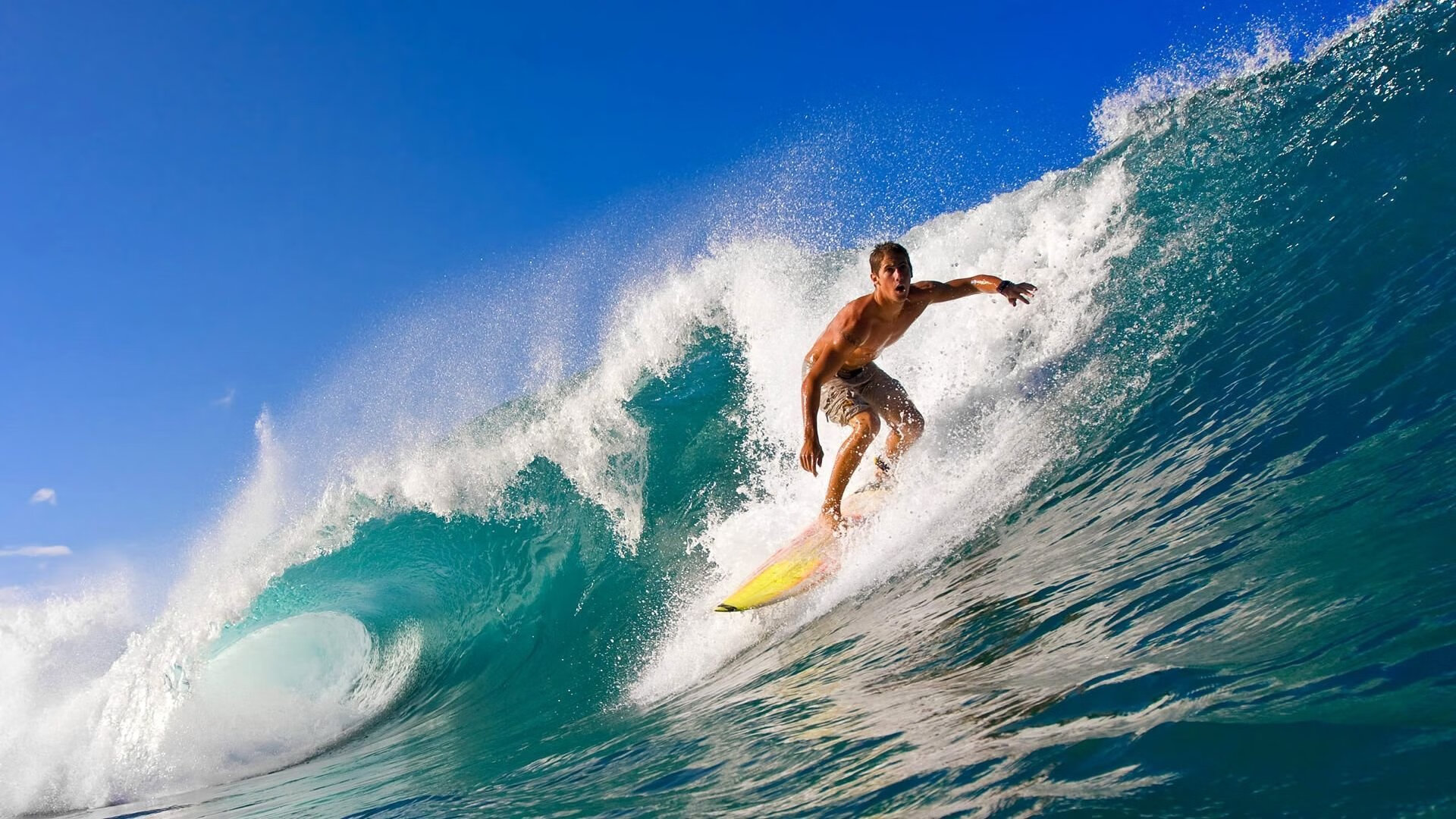 纳达尔迎来十五赛季出色发挥，C9观众热烈欢呼！引发球迷热议